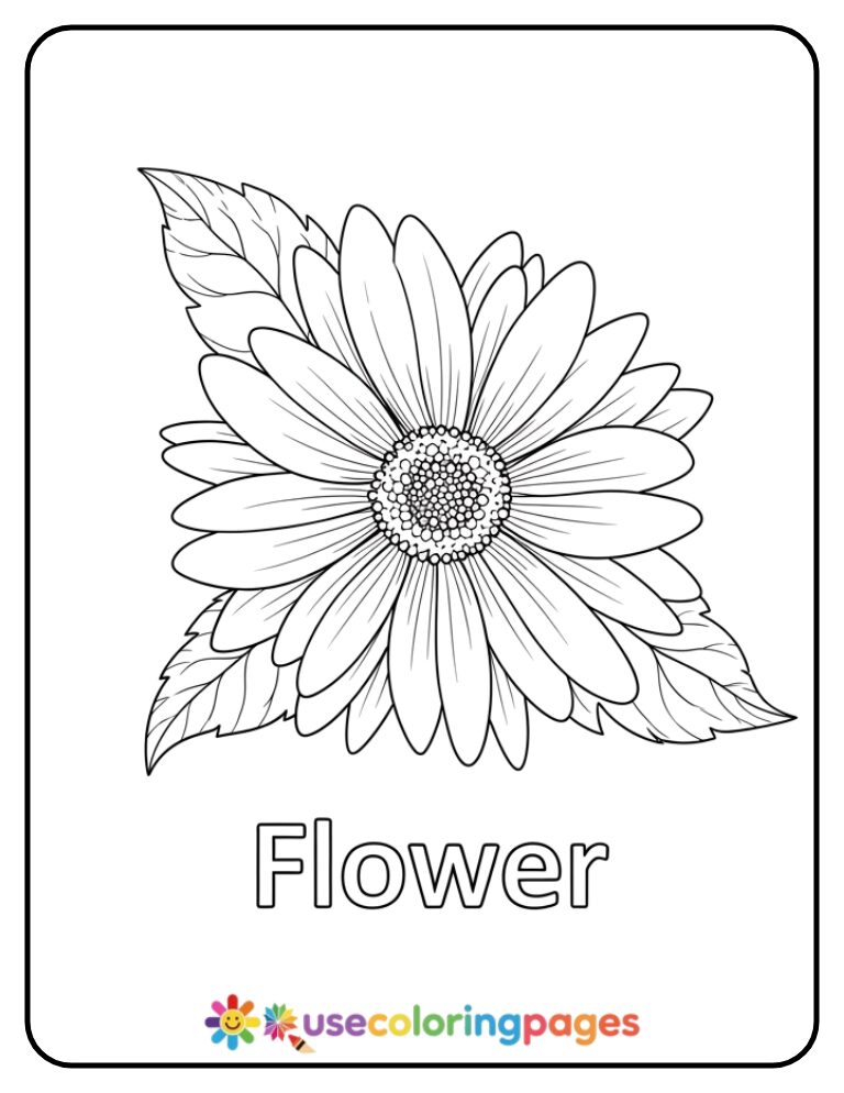 Lowercase f and Flower Coloring Page
