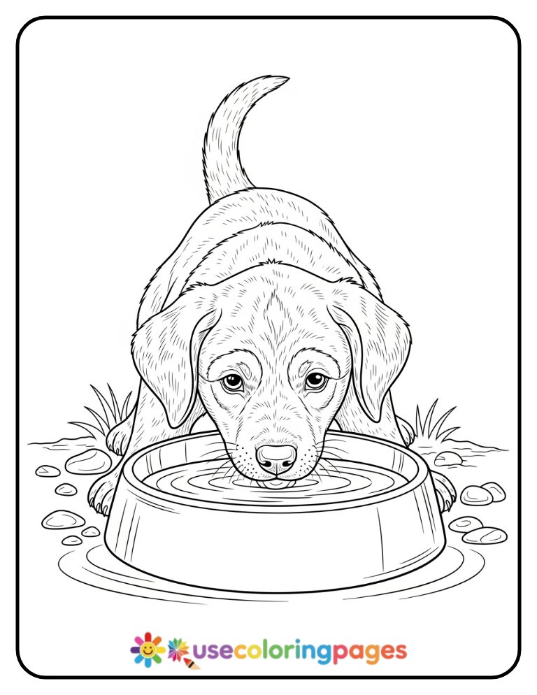 Realistic Puppy Drinking Water Coloring Page