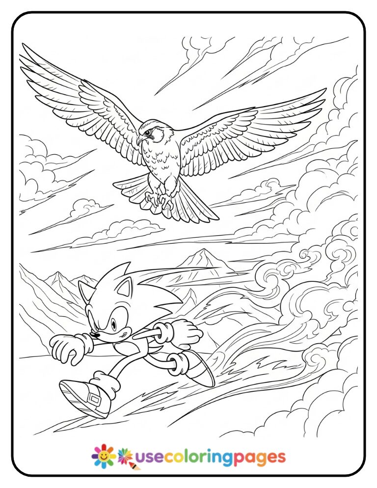 Sonic and Falcon Sky Race Coloring Page